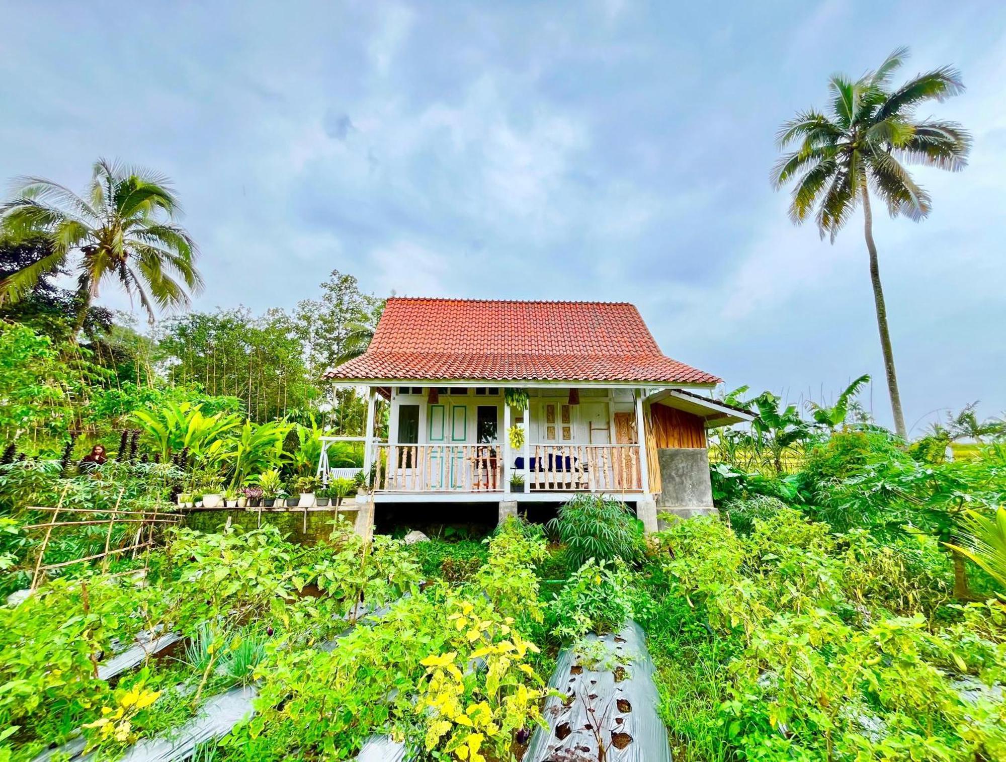Pondok Is Oke Villa Scenic View Banyuwangi  Buitenkant foto