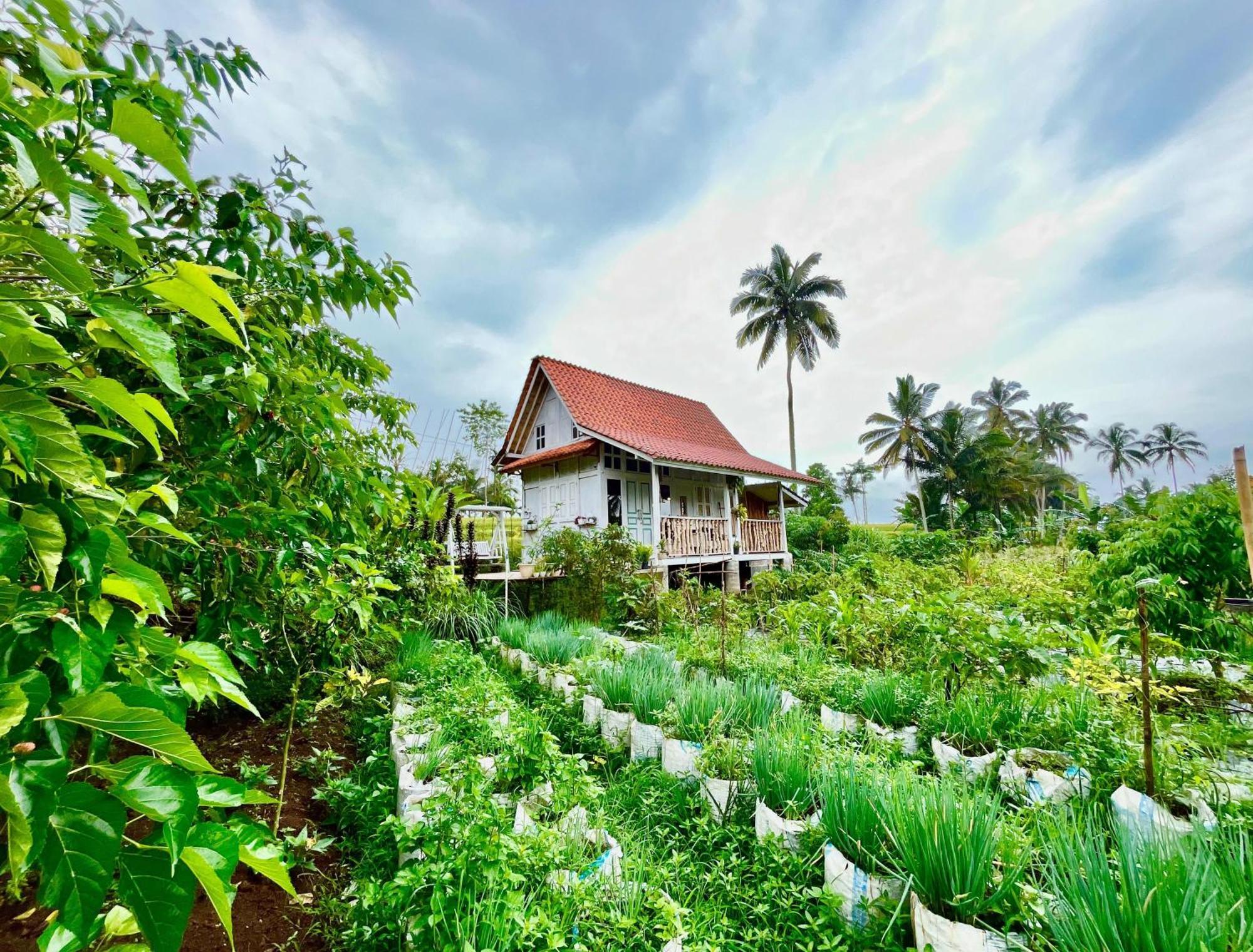 Pondok Is Oke Villa Scenic View Banyuwangi  Buitenkant foto