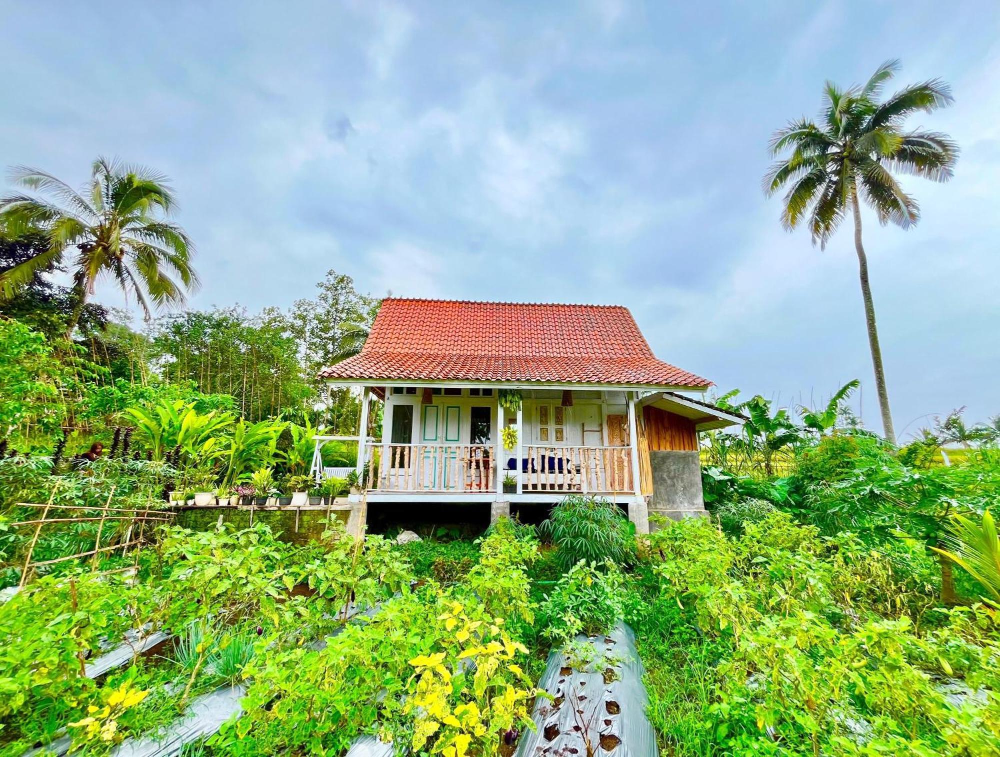 Pondok Is Oke Villa Scenic View Banyuwangi  Buitenkant foto