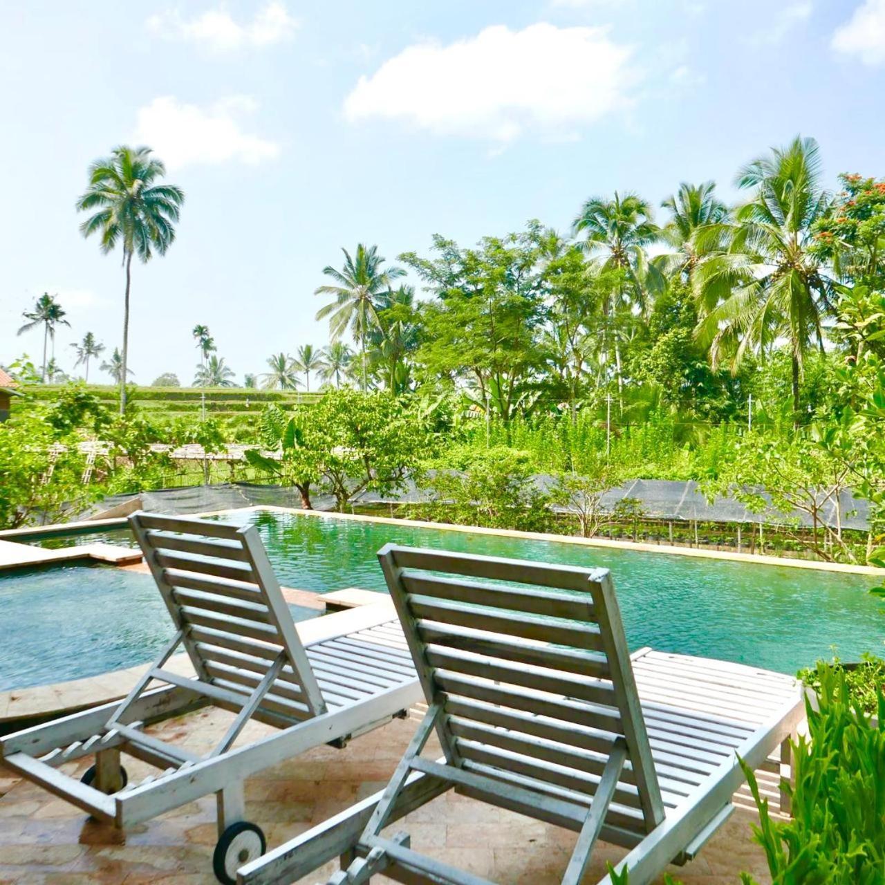 Pondok Is Oke Villa Scenic View Banyuwangi  Buitenkant foto