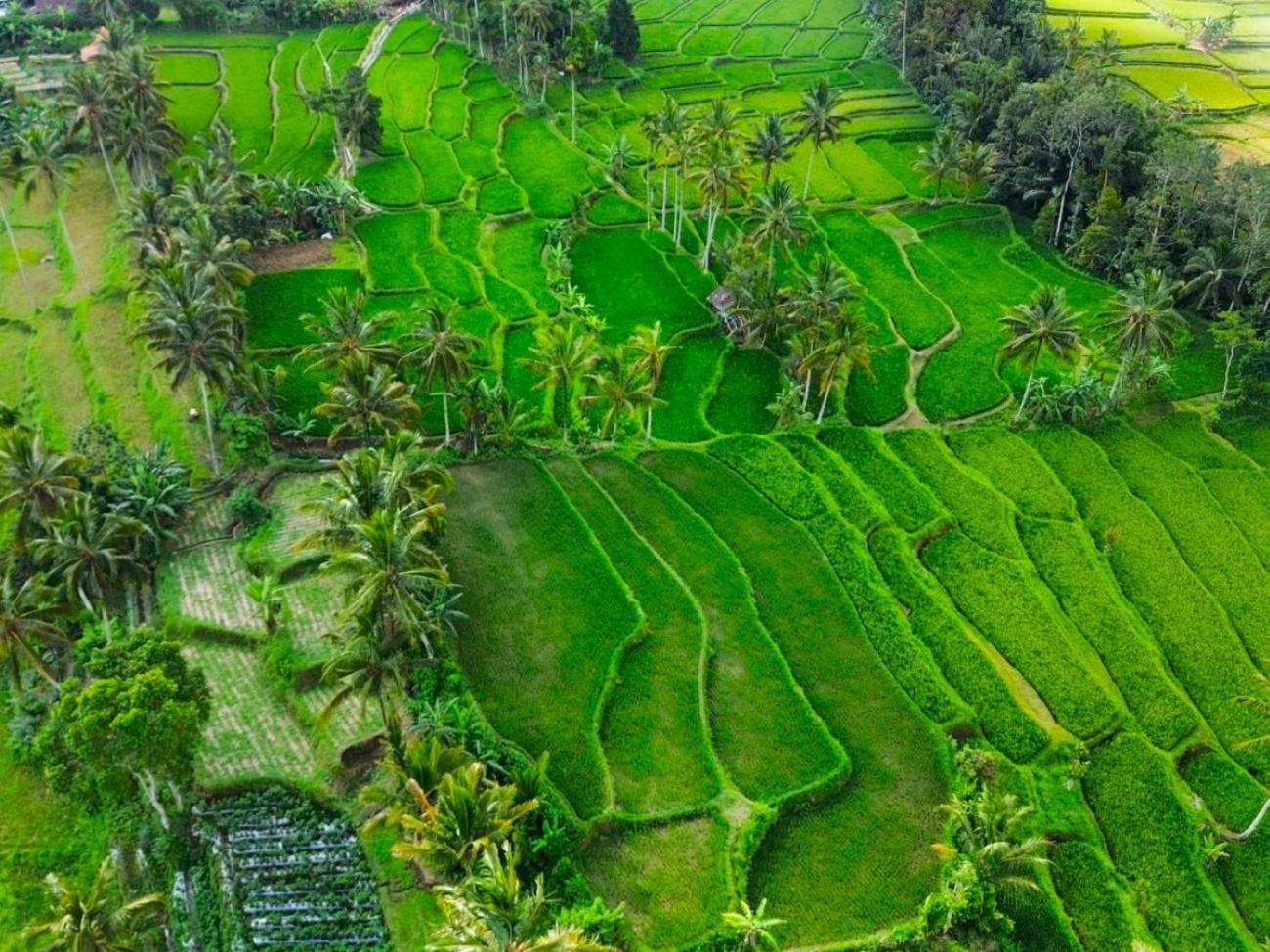 Pondok Is Oke Villa Scenic View Banyuwangi  Buitenkant foto